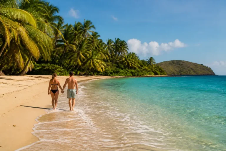 Découvrez la plage de l anse figuier en Martinique